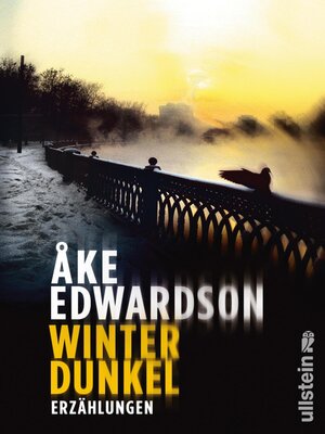 cover image of Winterdunkel